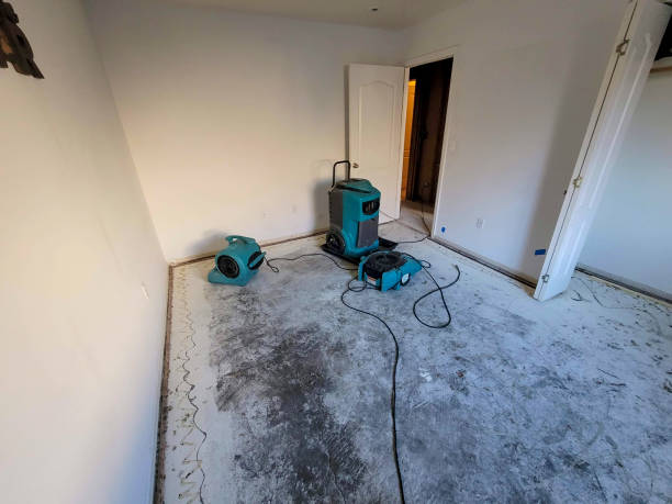 Best Professional water damage repair  in Fort Dick, CA