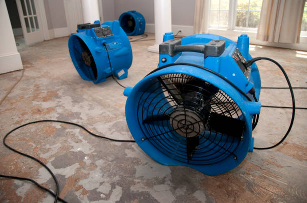 Best Water damage restoration mold remediation  in Fort Dick, CA