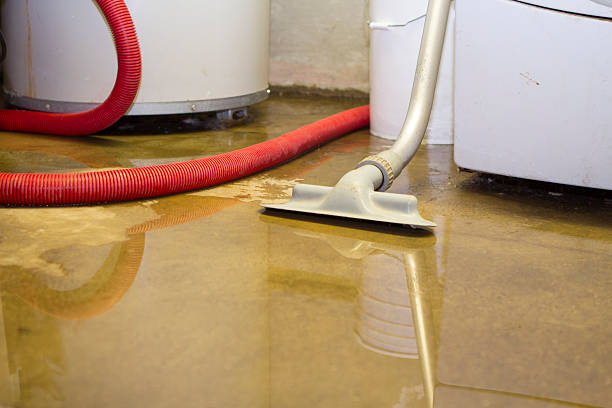 Water damage restoration mold remediation in Fort Dick, CA