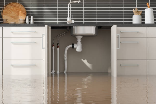  Fort Dick, CA Water damage restoration Pros